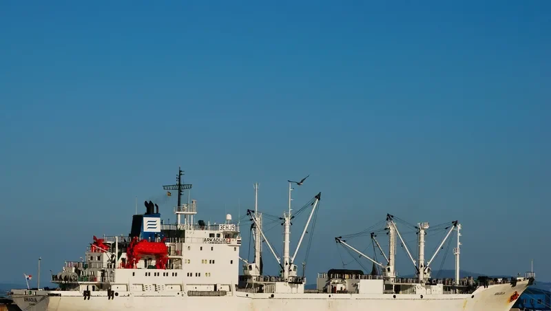ARKADIJA General Cargo IMO 9057393 photo 10