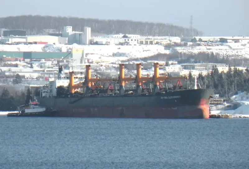 JOHANNA OLDENDORFF Bulk Carrier IMO 9057446 photo 3