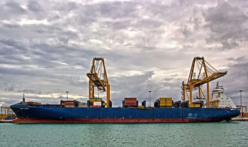 BLUES Container Ship IMO 9057496 photo 3
