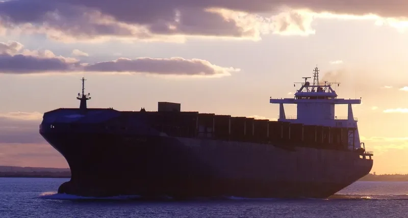 BLUES Container Ship IMO 9057496 photo 9