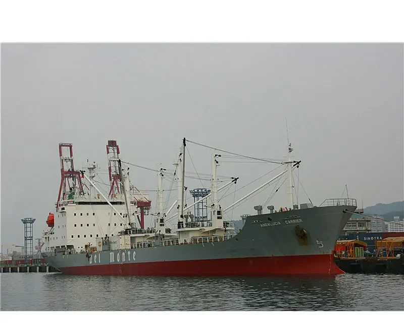 ANDALUCIA CARRIER General Cargo IMO 9057537 photo 4