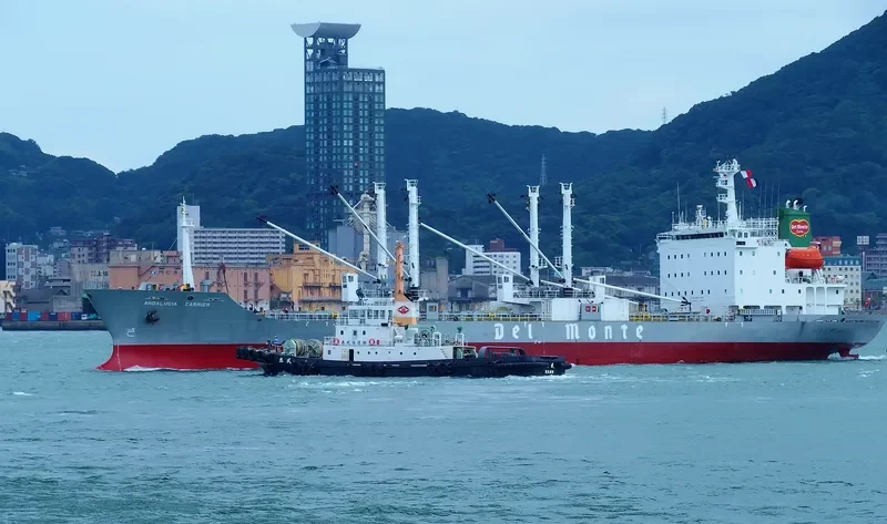 ANDALUCIA CARRIER General Cargo IMO 9057537 photo 6