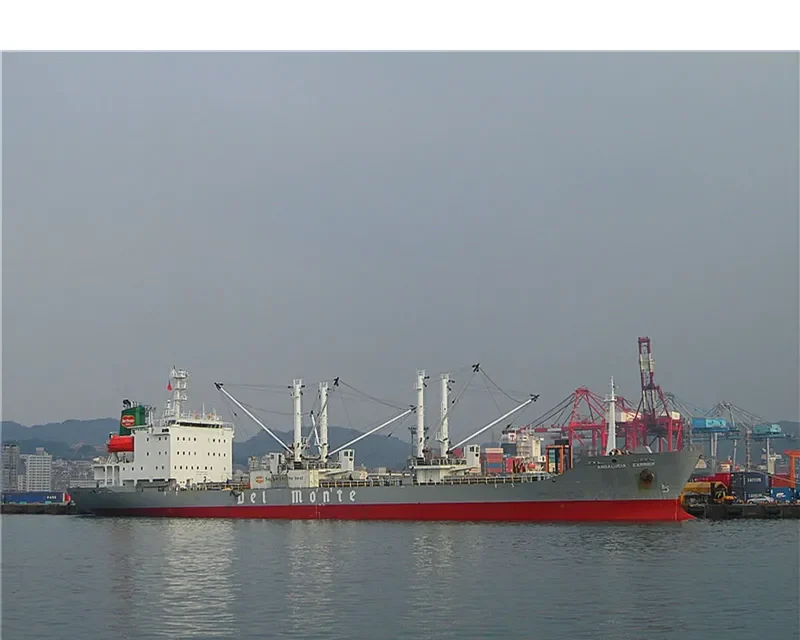 ANDALUCIA CARRIER General Cargo IMO 9057537 photo 7