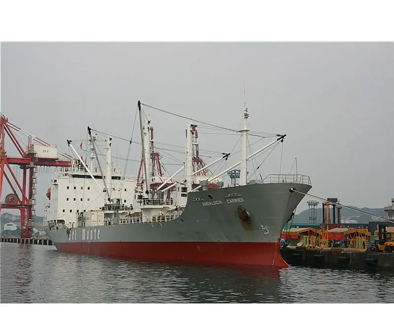 ANDALUCIA CARRIER General Cargo IMO 9057537 photo 10