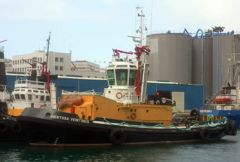 SERTOSA VEINTISEIS General Cargo IMO 9057692 photo 7