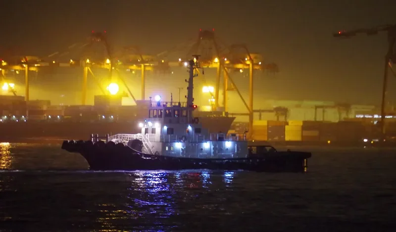 SAKURA General Cargo IMO 9057862 photo 3