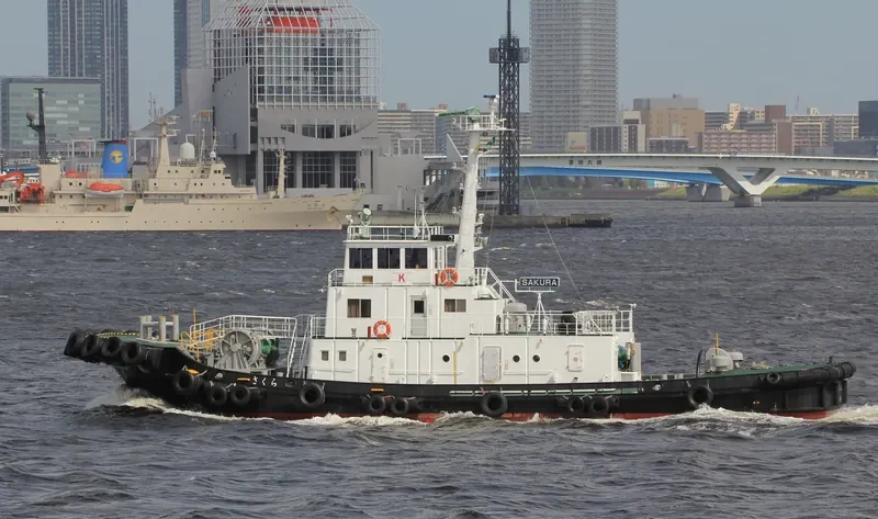 SAKURA General Cargo IMO 9057862 photo 5