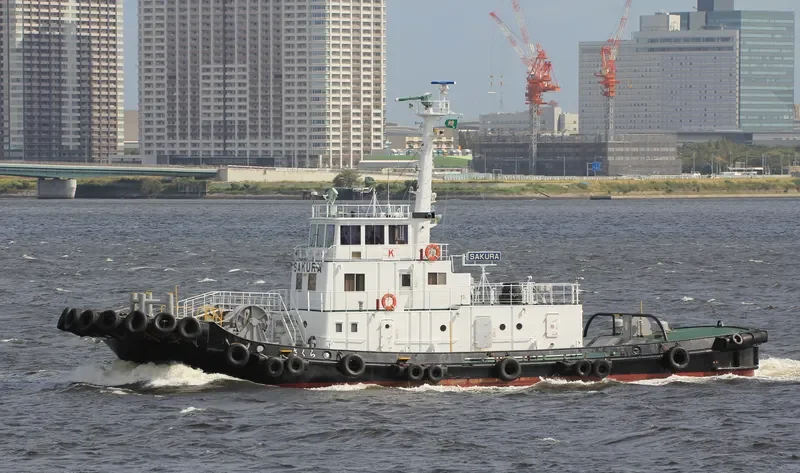 SAKURA General Cargo IMO 9057862 photo 6