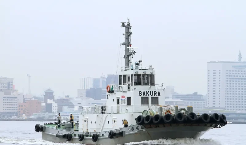 SAKURA General Cargo IMO 9057862 photo 8