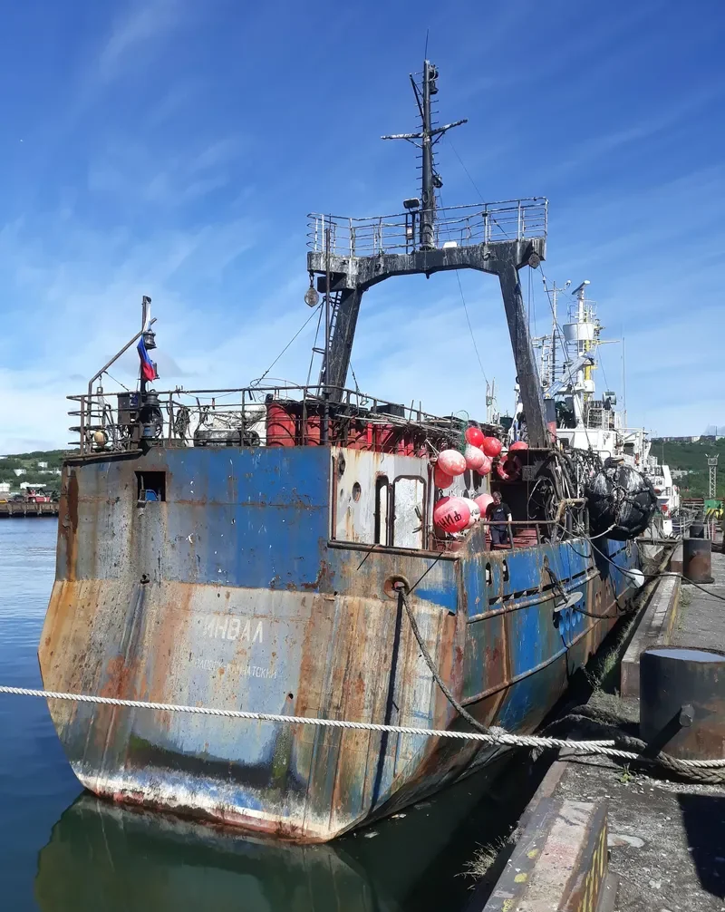 OSTROVNOY 9 General Cargo IMO 9057977 photo 6