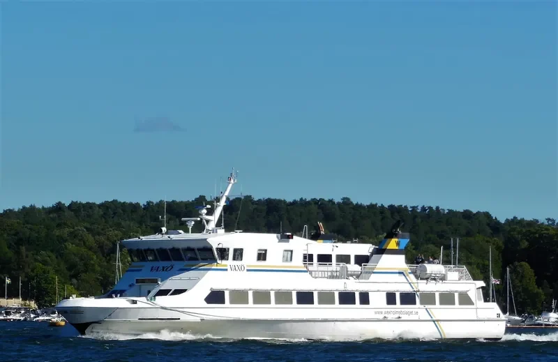 VAXO Passenger Ship IMO 9058282 photo 6