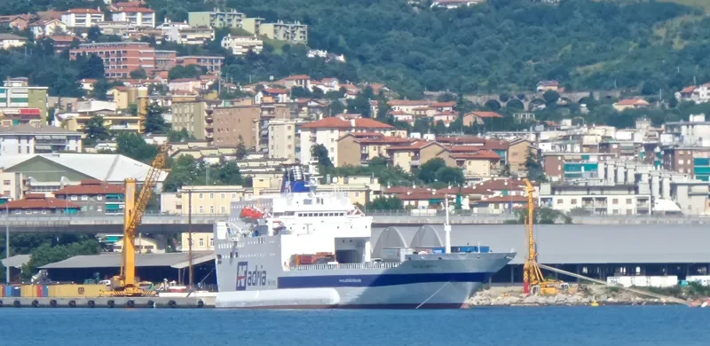 AF MARINA Ro-Ro IMO 9059107 photo 8