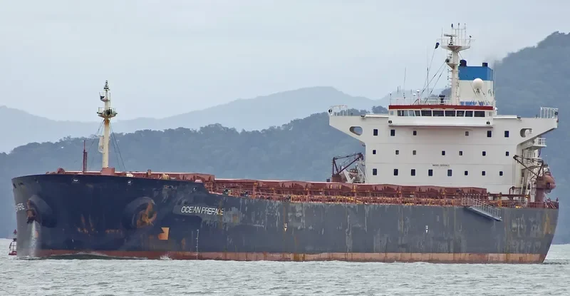 JIMEI JINHAO Bulk Carrier IMO 9059963 photo 2