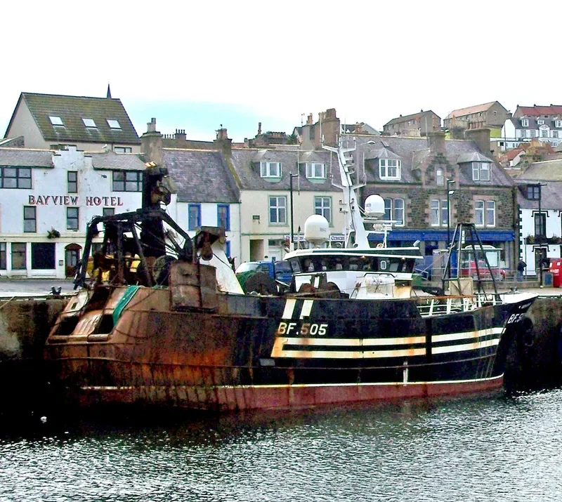 GENESIS General Cargo IMO 9060156 photo 8