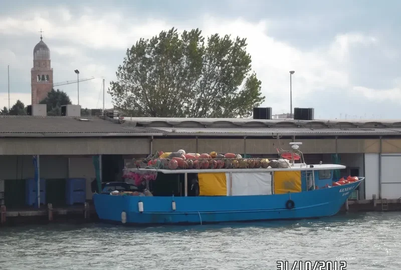 GENESIS General Cargo IMO 9060156 photo 10