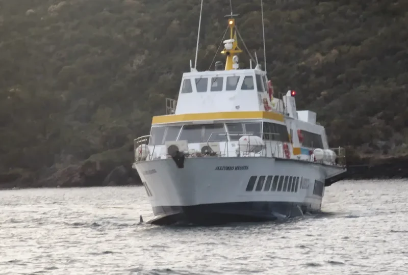ALIJUMBO MESSINA Passenger Ship IMO 9060194 photo 3