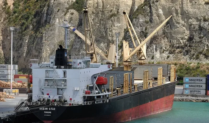 OCEAN GREAT Bulk Carrier IMO 9060223 photo 2