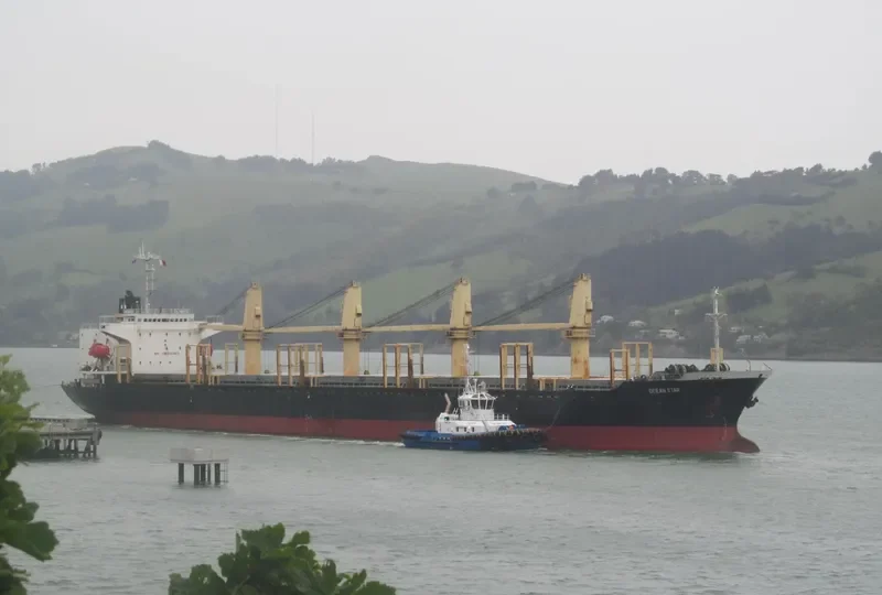 OCEAN GREAT Bulk Carrier IMO 9060223 photo 3