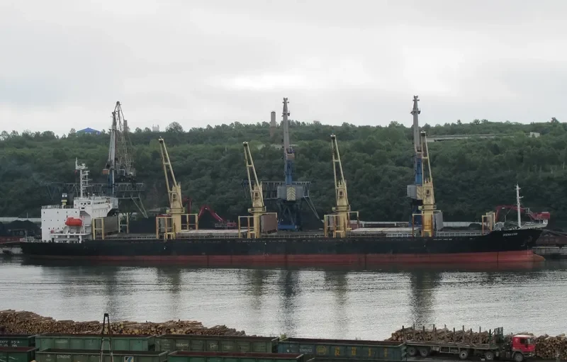 OCEAN GREAT Bulk Carrier IMO 9060223 photo 4