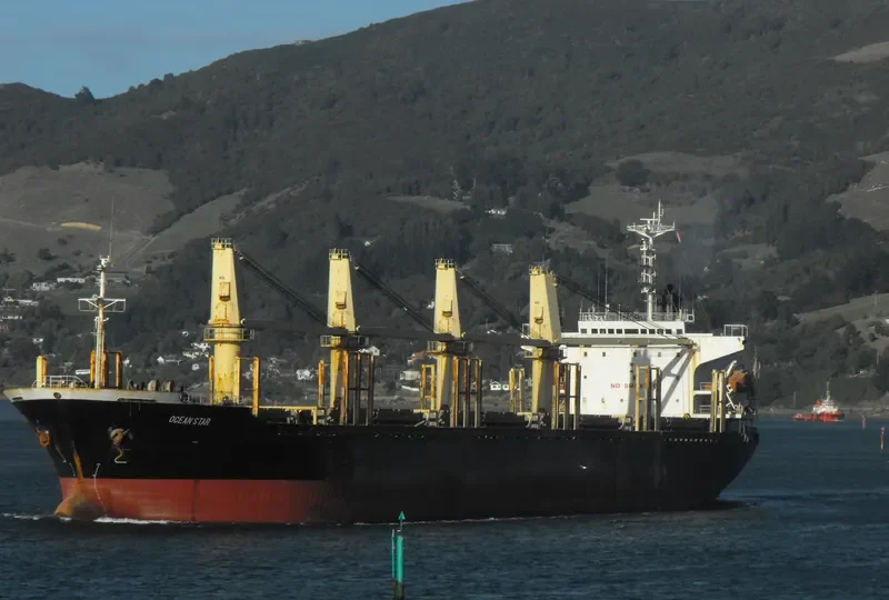 OCEAN GREAT Bulk Carrier IMO 9060223 photo 5