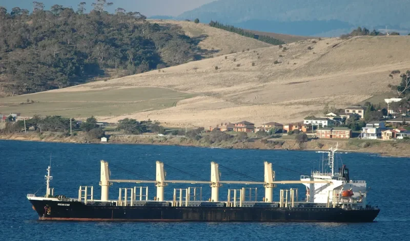 OCEAN GREAT Bulk Carrier IMO 9060223 photo 6