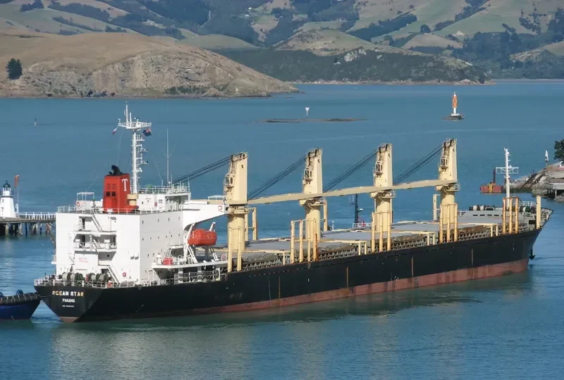OCEAN GREAT Bulk Carrier IMO 9060223 photo 7