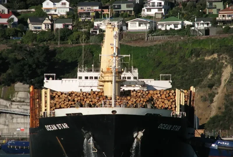 OCEAN GREAT Bulk Carrier IMO 9060223 photo 8