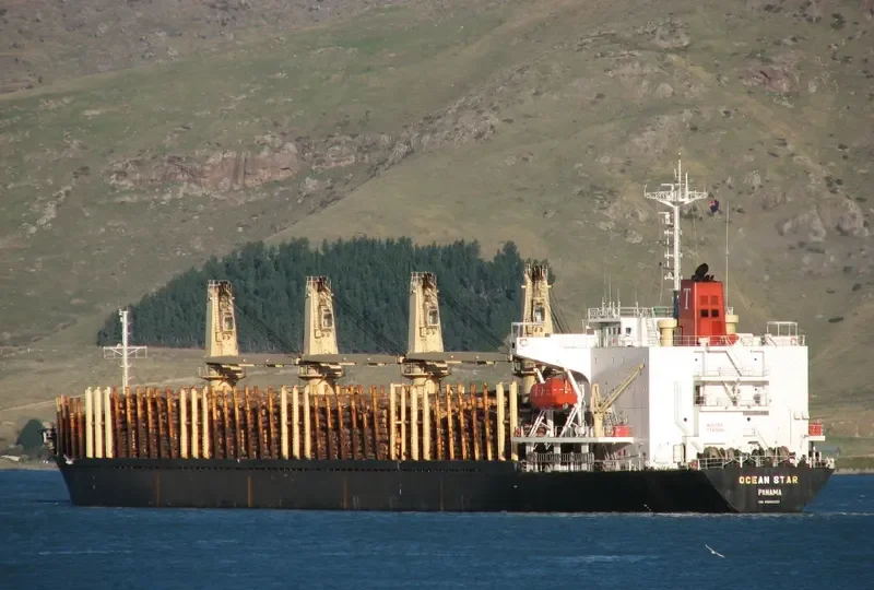 OCEAN GREAT Bulk Carrier IMO 9060223 photo 9