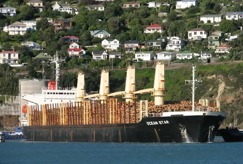 OCEAN GREAT Bulk Carrier IMO 9060223 photo 10