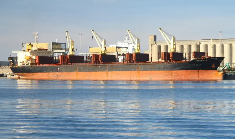 SERENITY 1 Bulk Carrier IMO 9060247