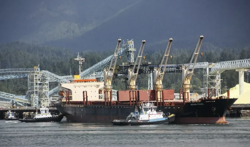 SERENITY 1 Bulk Carrier IMO 9060247 photo 3