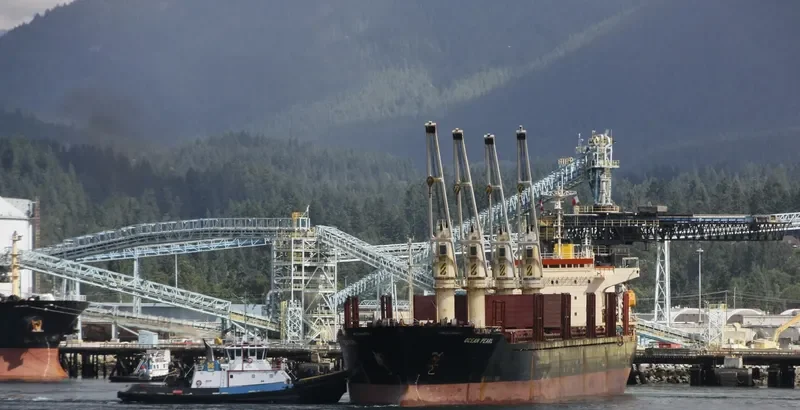 SERENITY 1 Bulk Carrier IMO 9060247 photo 5
