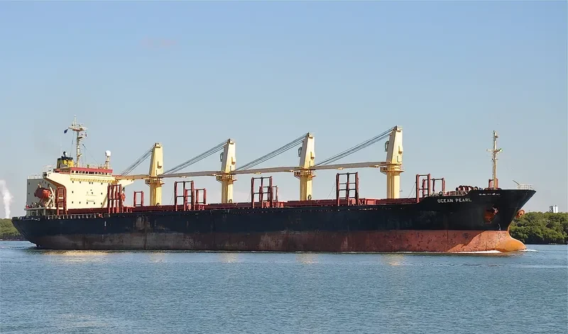 SERENITY 1 Bulk Carrier IMO 9060247 photo 6