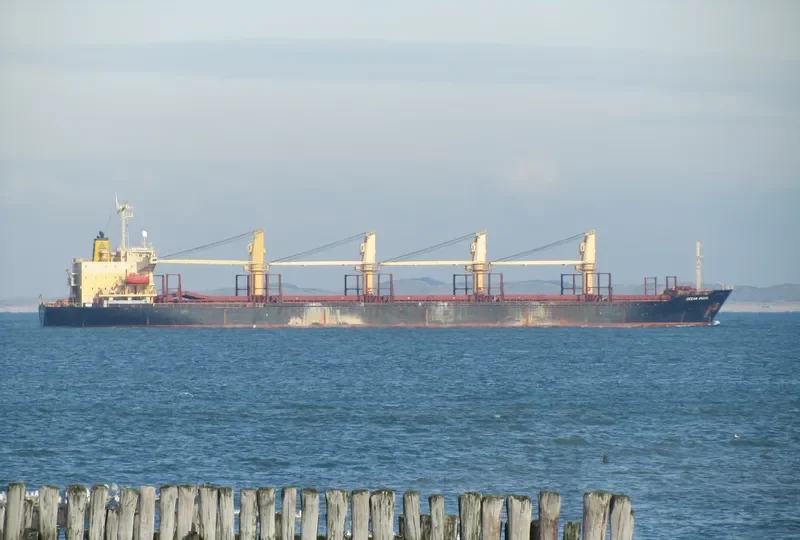 SERENITY 1 Bulk Carrier IMO 9060247 photo 7