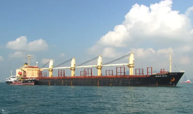 SERENITY 1 Bulk Carrier IMO 9060247 photo 8