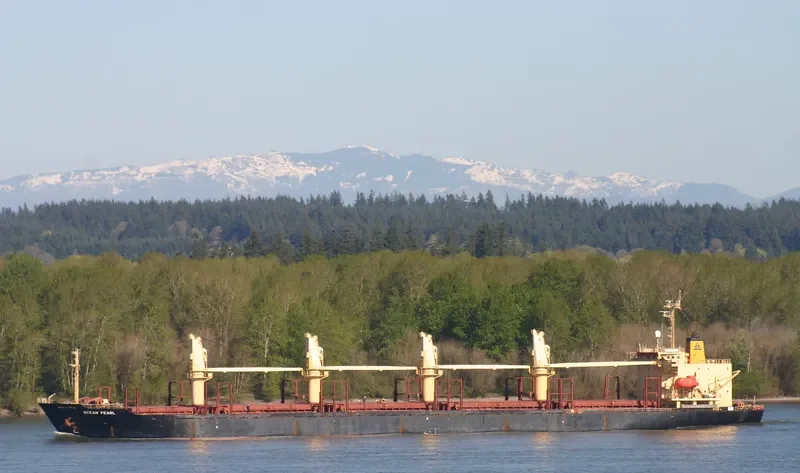 SERENITY 1 Bulk Carrier IMO 9060247 photo 9