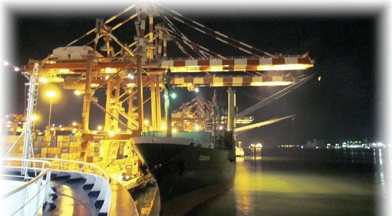 TENORA Container Ship IMO 9060261 photo 2