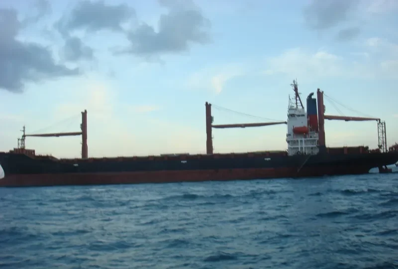 TENORA Container Ship IMO 9060261 photo 3