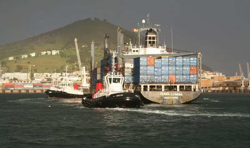 TENORA Container Ship IMO 9060261 photo 4