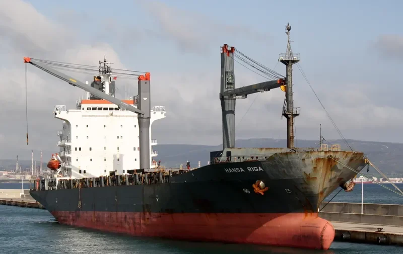ARCA Container Ship IMO 9060285 photo 2