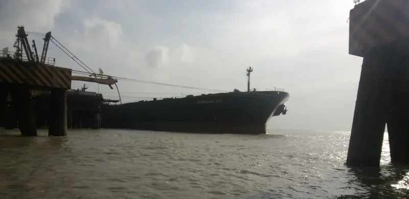 STELLAR RIO Bulk Carrier IMO 9060338
