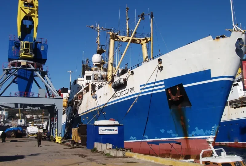 VLADIVOSTOK General Cargo IMO 9060429 photo 2