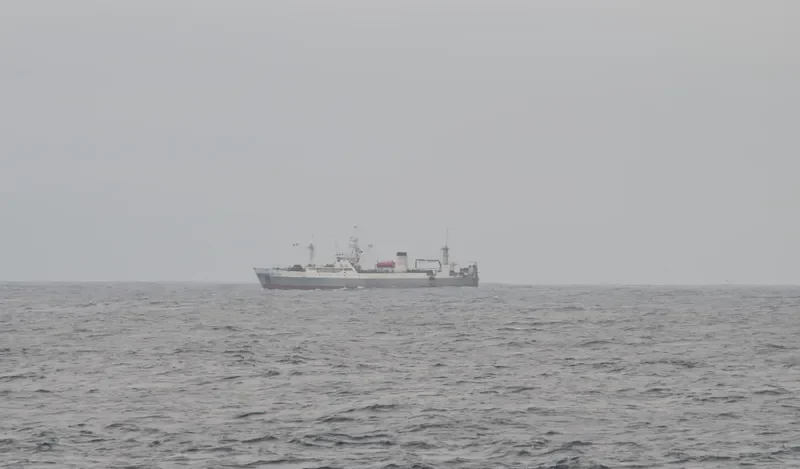 SUNFISH General Cargo IMO 9060431