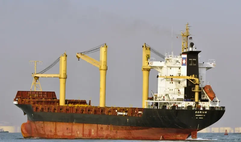 DOR Container Ship IMO 9060546 photo 2