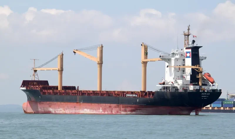 DOR Container Ship IMO 9060546 photo 4