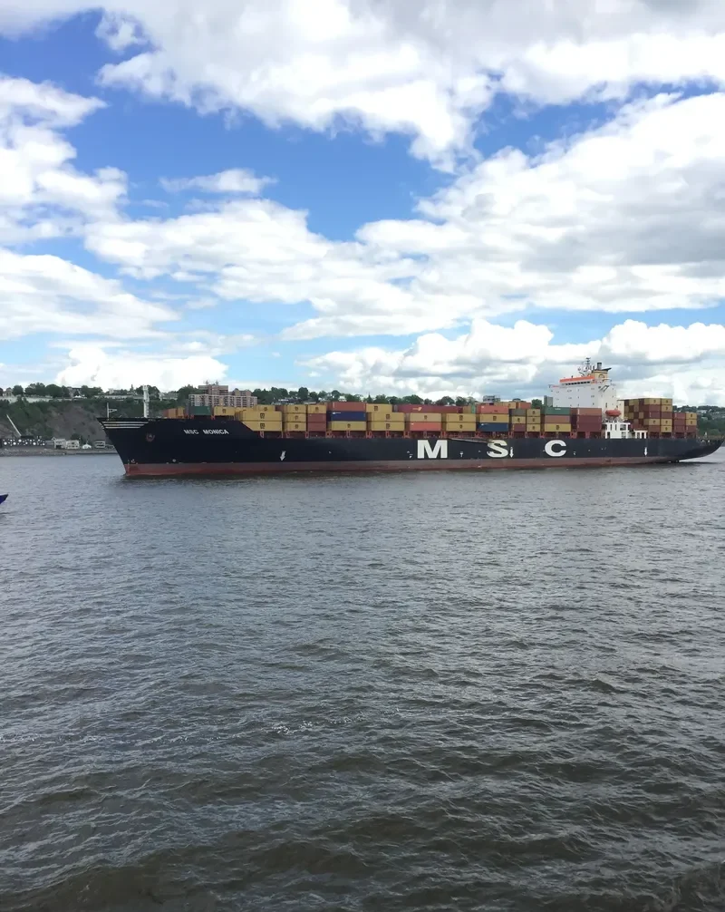 MSC MONICA Container Ship IMO 9060649