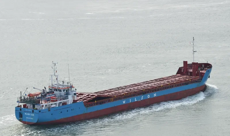 WILSON ELBE General Cargo IMO 9060675 photo 6