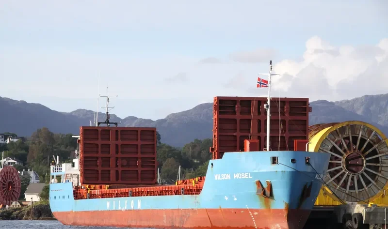 WILSON MOSEL General Cargo IMO 9060687 photo 5