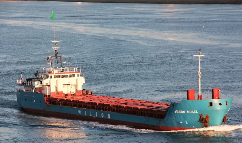 WILSON MOSEL General Cargo IMO 9060687 photo 7