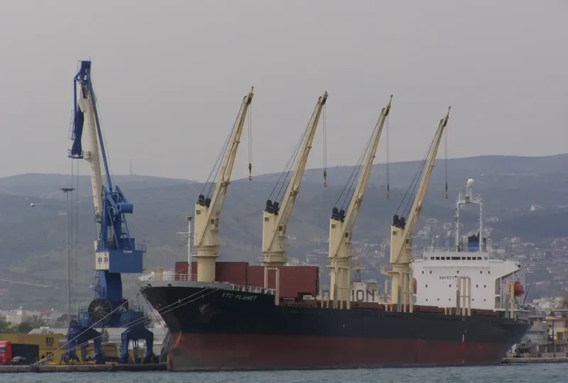 VTC PLANET Bulk Carrier IMO 9060730 photo 3